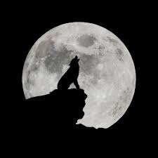 News source: Harper's BAZAAR