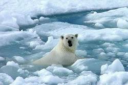 Resultat d'imatges de CANVI CLIMATIC