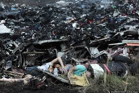 Image result for mh17 wings