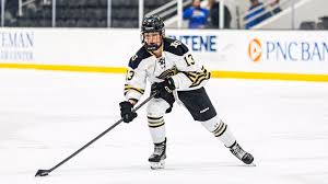Lindenwood Women's Hockey Draw Against Bemidji State