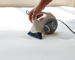 Image de professional steam cleaner bed bugs non toxic paris apartment royalty free