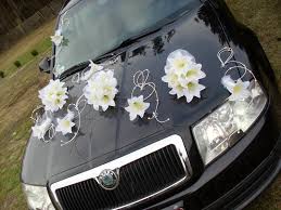 images?q=tbn:ANd9GcSNRf7A4uOnZXMvGExSGvI