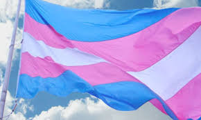 Viva Maria dá voz ao ativismo trans no 29 de janeiro