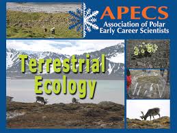 Image result for organisms and their environment