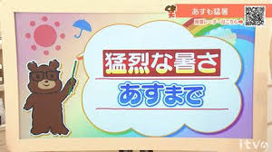 TBS NEWS DIG - News update