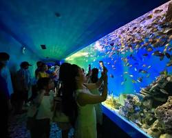 Pictures of Nha Trang Institute of Oceanography