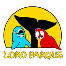 Resultado de imagen de imagenes de loro parque