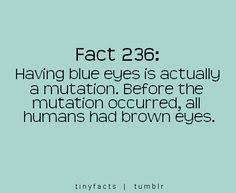 Blue Eye Facts on Pinterest | Eye Color Facts, Eye Facts and Facts ... via Relatably.com