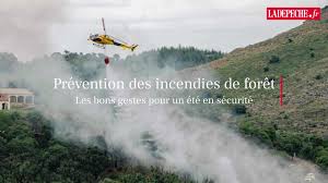 ladepeche.fr - News update