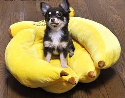 Μπανάνα -κρεβάτι!!!
