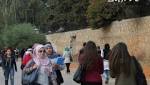 أماز ماركة أحذية مغربية