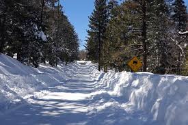 California Travel Updates: Big Bear Road Closures, Offshore Drilling Plans, and Waymo's Metro Partnership