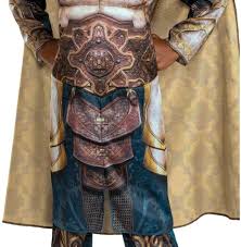 Boys LG (10-12) Xenk the Paladin Dlx Muscle Halloween Child Costume Dungeons... - Product from eBay