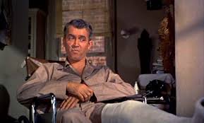 Image result for jeff rear window looking out