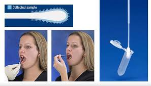 Image result for dna buccal swab