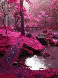 Image result for pictures gallery for amazing places of the world