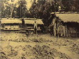 「台灣原住民分布圖」的圖片搜尋結果