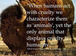 When humans act with cruelty we characterize them as `animal`,yet ... via Relatably.com