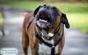 Personal Injury Lawyer Consultation