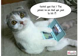 Résultat de recherche d'images pour "chat qui parle"