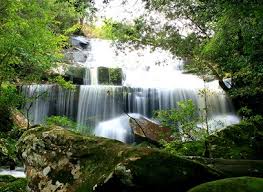 รูปภาพที่เกี่ยวข้อง