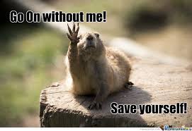 Image result for Animal Meme