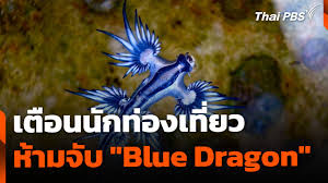 Thai PBS - News update