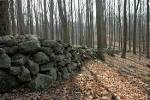 New england stone walls