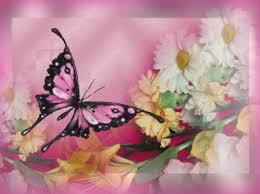 Image result for animated butterflies wallpaper