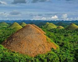 巧克力山, Bohol Island的圖片