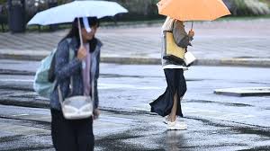SVT Nyheter - News update