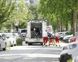 Ten killed in school shooting in Austria