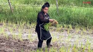 ข่าวสด - News update