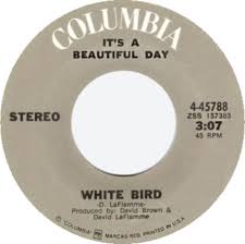 Image result for white bird it's a beautiful day 45