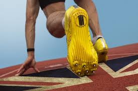 Image result for sports education