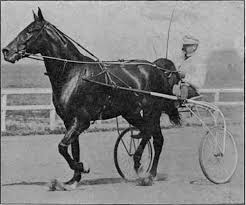Image result for photos of dan patch