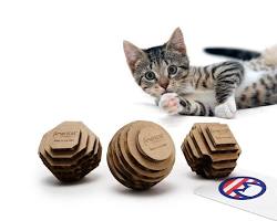 cat playing with a cardboard ballの画像