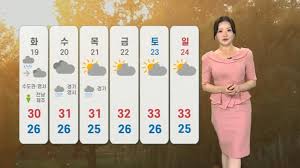 ZUM 뉴스 - News update
