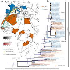 West Nile virus Unveiling the Cross-Continental Spread: A Closer Look at the Spatial and Temporal Dynamics of West Nile Virus in Africa and Europe