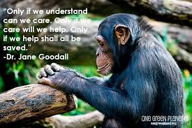 14 Quotes Every Animal Advocate Should Know By Heart | One Green ... via Relatably.com