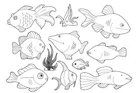 fish coloring pages ile ilgili görsel sonucu