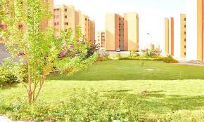 لأهالي الإسكندرية.. وحدات إيجار مدعومة في برج العرب الجديدة ضمن سكن لكل المصريين
