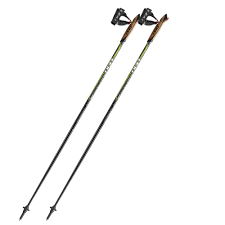 Bildresultat för nordic walking poles