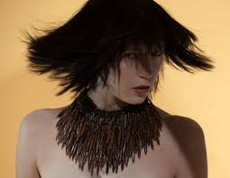 Photo by Susan Schelling Horn and Brass Fringed Collar. - 49