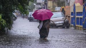 Tamil Nadu Weather: RMC Issues Yellow, Red Alerts; Heavy Rains To Lash For Next 5 Days