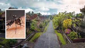 health warning Warning for Australian travellers as cases of dengue fever surge in Bali