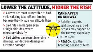The Times of India - News update
