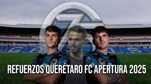 Instante Gallos - News update