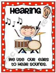 Αποτέλεσμα εικόνας για the five senses