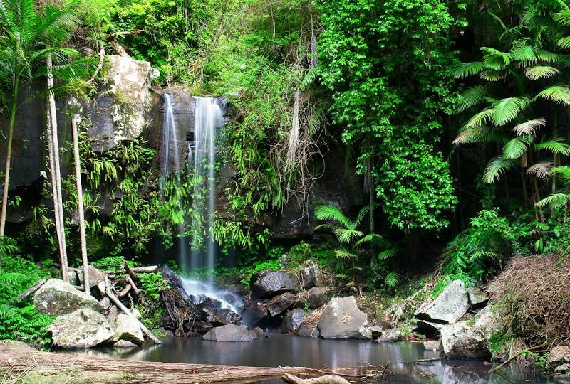 Tamborine National Park